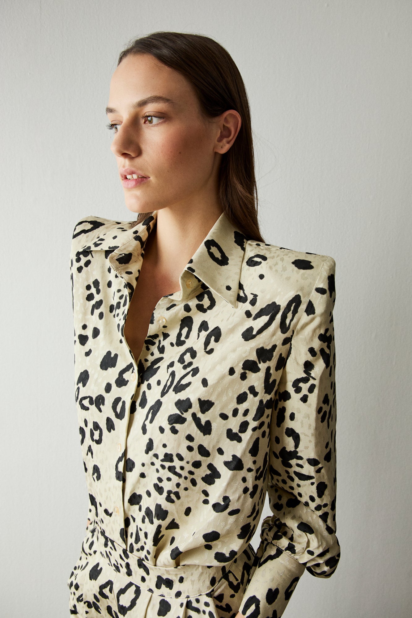 Camisa animal print